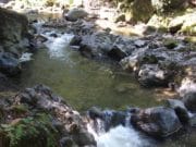 Rijeka Turija: Raj za oči i dušu