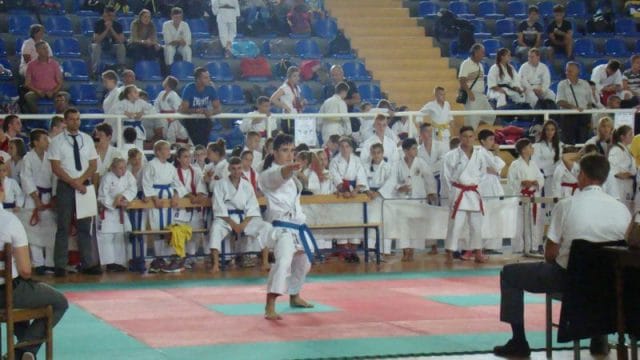 Medjunarodni karate turnir