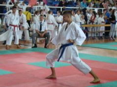 Internacionalni karate kup Lukavac 2016.