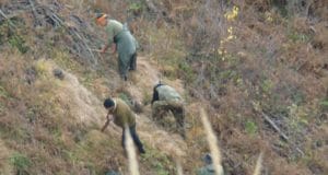 Pošumljavanje u Orahovici - Foto: Edina Mujkić