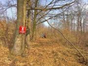 Izbjegnuta tragedij u Smolući: Radnik zalutao u minsko polje