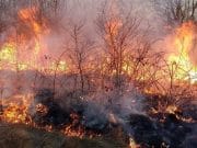 CZ Lukavac: Nepažnjom može doći do požara na otvorenim površinama