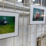 IMG_20190115_171409