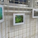 IMG_20190115_171424