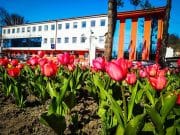 Čestitka Općinskog načelnika povodom Prvog maja