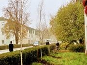 Nastavak projekta ozelenjavanja u Lukavac Gradu