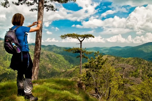 nedzad_-_008_-_20110430-_dsc0046-konjuh1-510x339