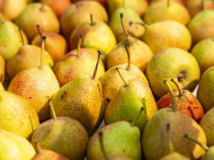 Na tržište BiH stigle kruške iz Belgije s nedozvoljenim pesticidom