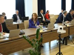 Njemačka dala, ali BiH ne: Dvojno državljanstvo čeka bolja vremena