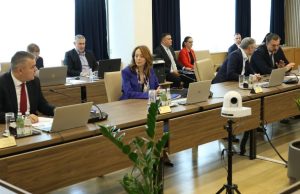 Njemačka dala, ali BiH ne: Dvojno državljanstvo čeka bolja vremena