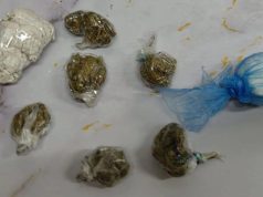 Tokom pretresa putničkog vozila u Lukavcu pronađena i oduzeta opojna droga