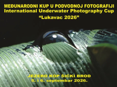 Međunarodni kup u podvodnoj fotografiji ovog vikenda u Lukavcu