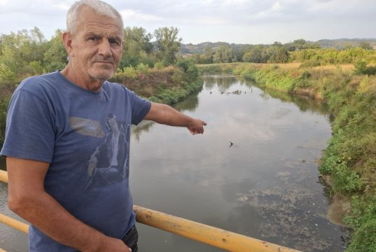 Pomor ribe u rijeci Spreči: Ribar Almir Čelić primijetio kako mrtva riba pluta Sprečom nizvodno od Lukavca